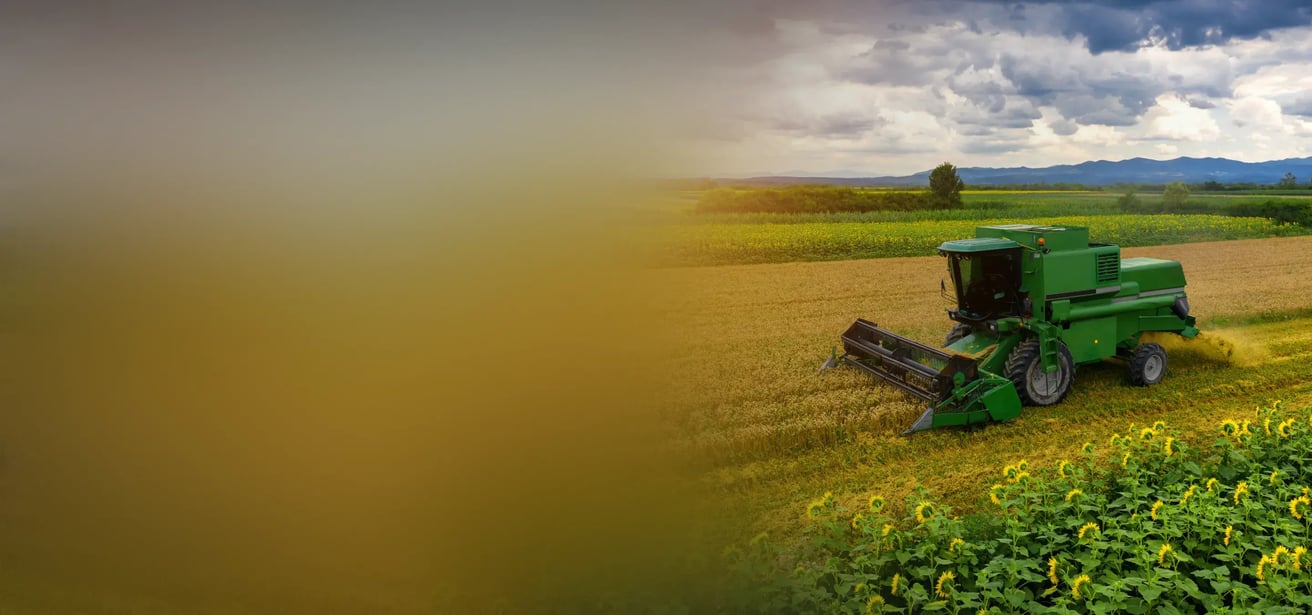 main banner